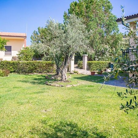 Il Giardino Degli Ulivi Panzió Santa Maria Kültér fotó